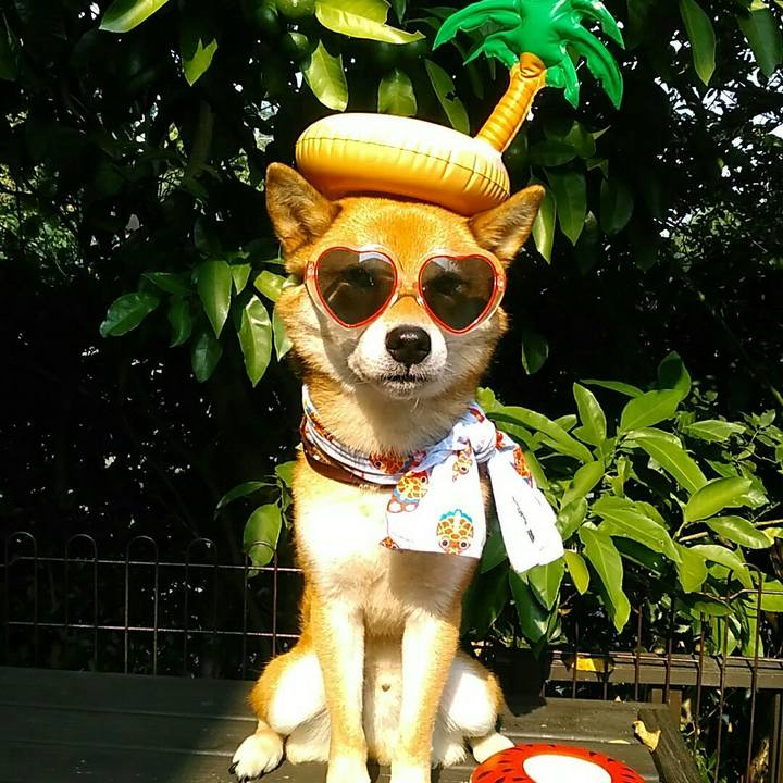 3da79545 acb0 4565 84f4 8c9397784ddf 1531979853563