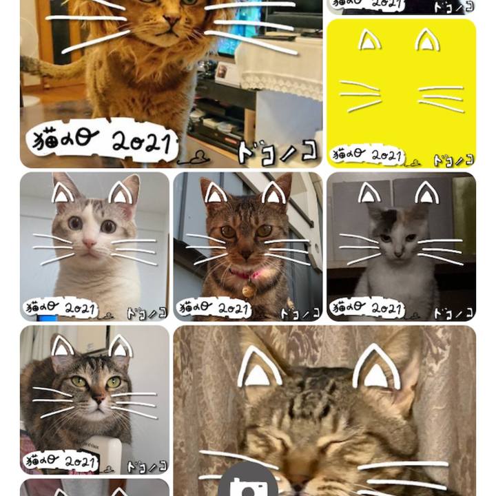 3da79745 aab0 46db 8175 dd34282223f7 1615083674777