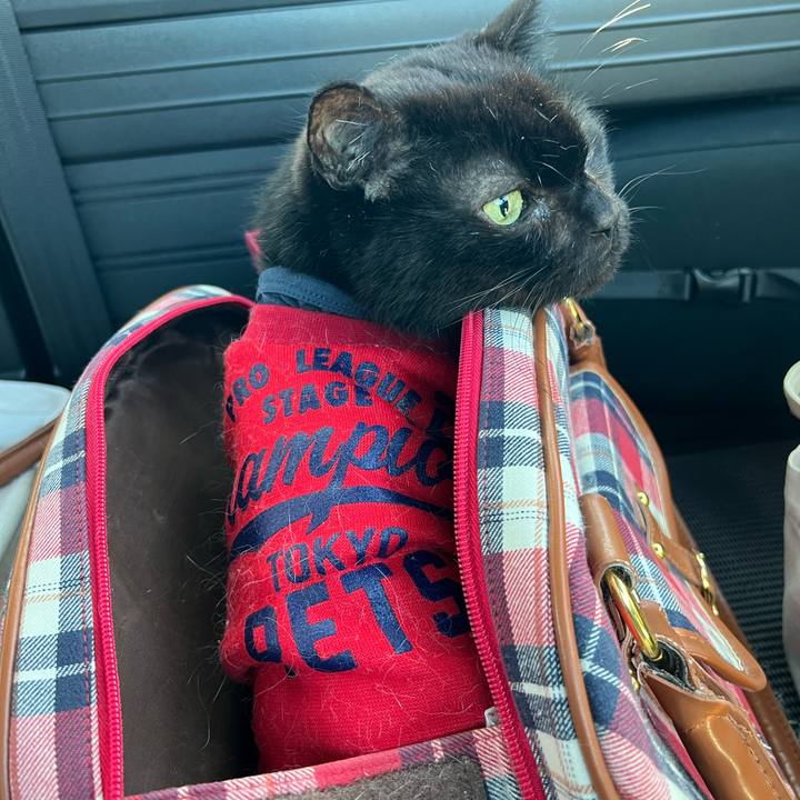 3da79c03 f7fb 48f7 b666 bcd4fb9480df 1705193031717