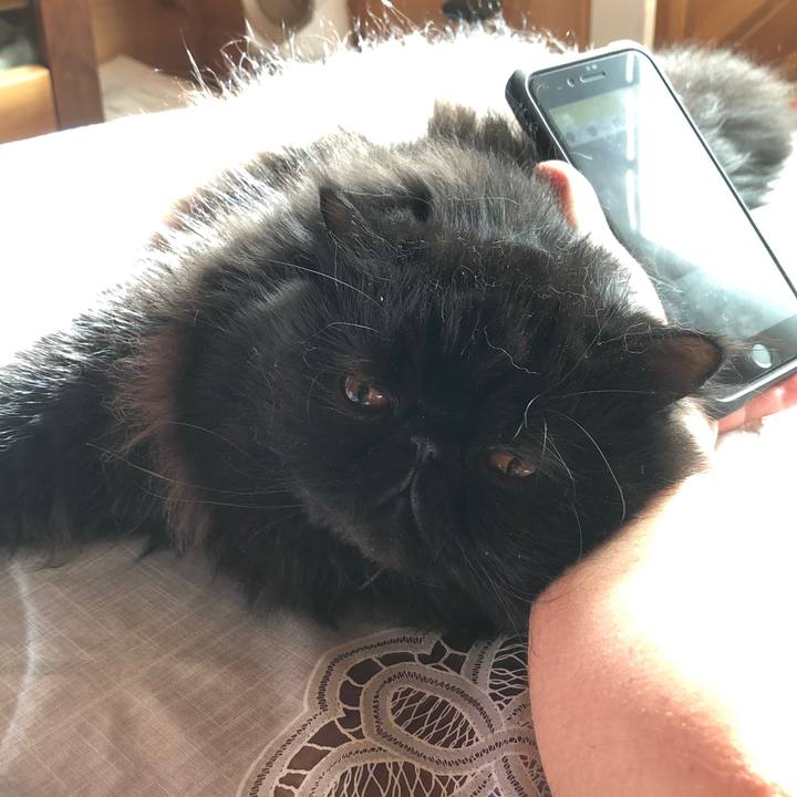 3da7d0d8 eb5f 4427 b7c4 c5fe456ca34b 1547954634647