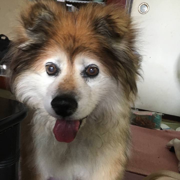 3da7d359 6633 4472 8cca 4028af6ccfae 1564383662649