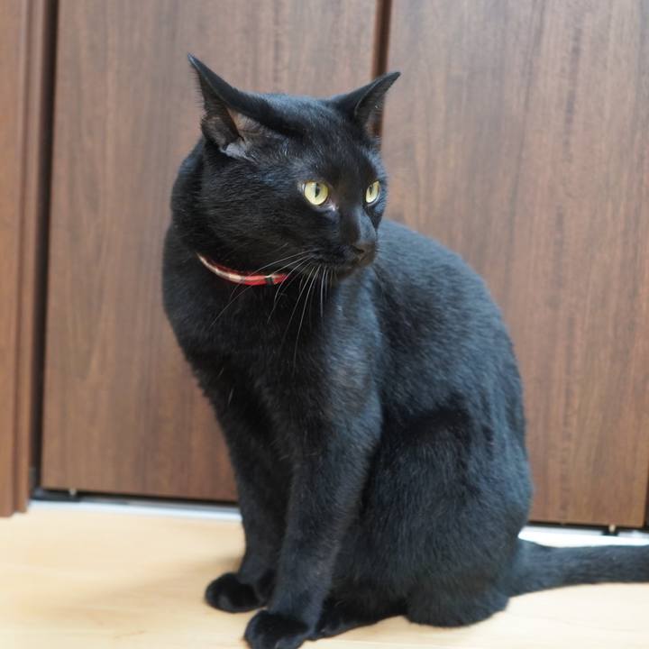 3da7f713 8730 457b 99af 7df31e20aad2 1595375794009