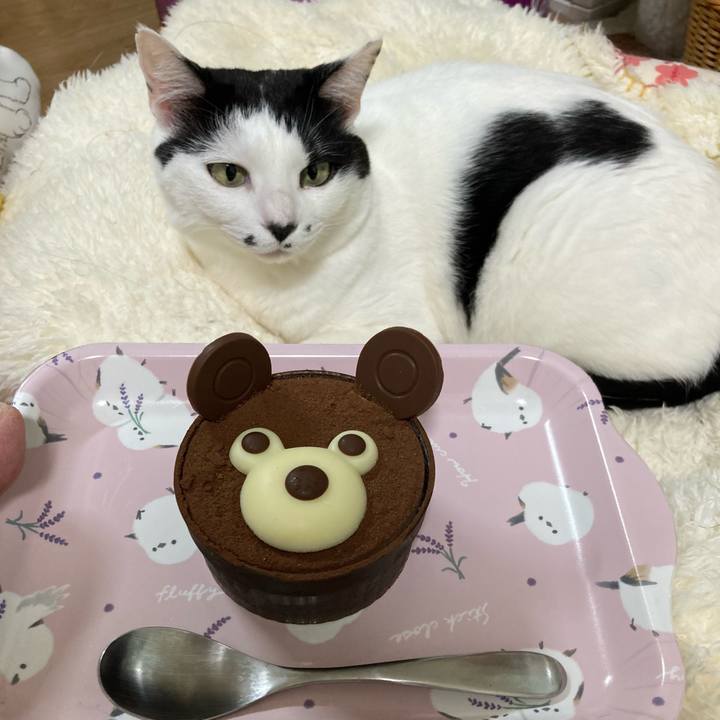 3da7fd78 5755 4c81 8638 35e28523e86c 1775651333042