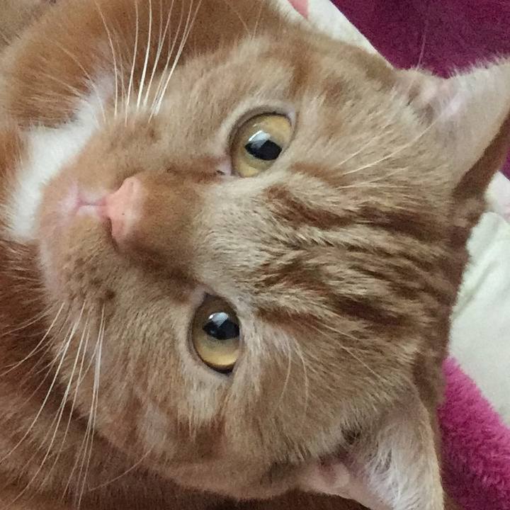 3da81937 87a2 4895 a051 64dd464749c6 1524267288282