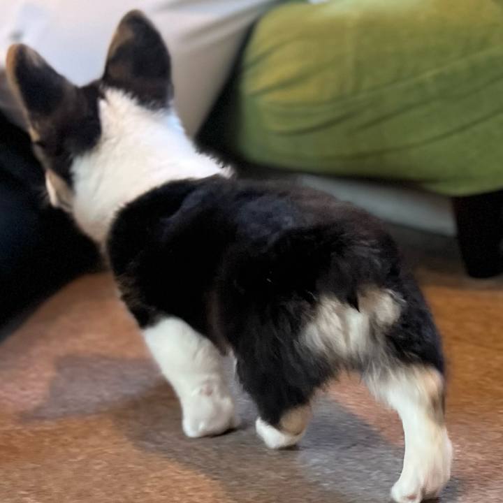 3da82b00 b194 4fb6 adfc da955a933351 1770247558606