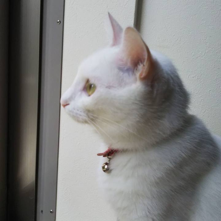 3da85edf 9a82 431d a4e4 0ffc5f644eb1 1629238975118