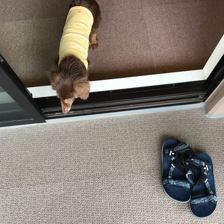 3da87a33 6f75 45d0 bffb 6f8d835dfa09 1525477215953