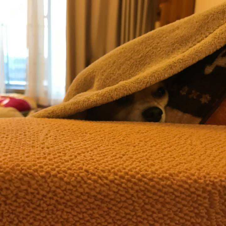 3da8a9ef dea4 4b45 9628 66aaf81cf472 1511397247453