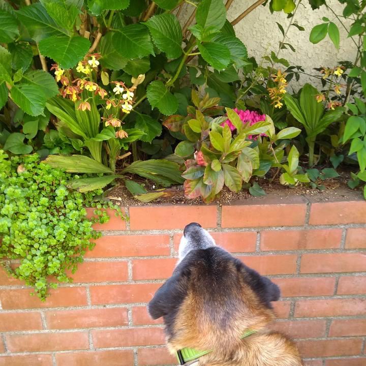 3da8adcd 0687 4bc3 a4ad 08747c410e71 1557273914295