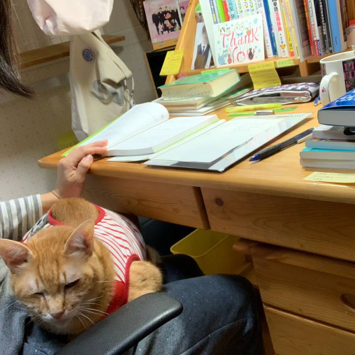 3da8cf10 a2f9 4b4b be4f ffc38a8bad53 1577396102697