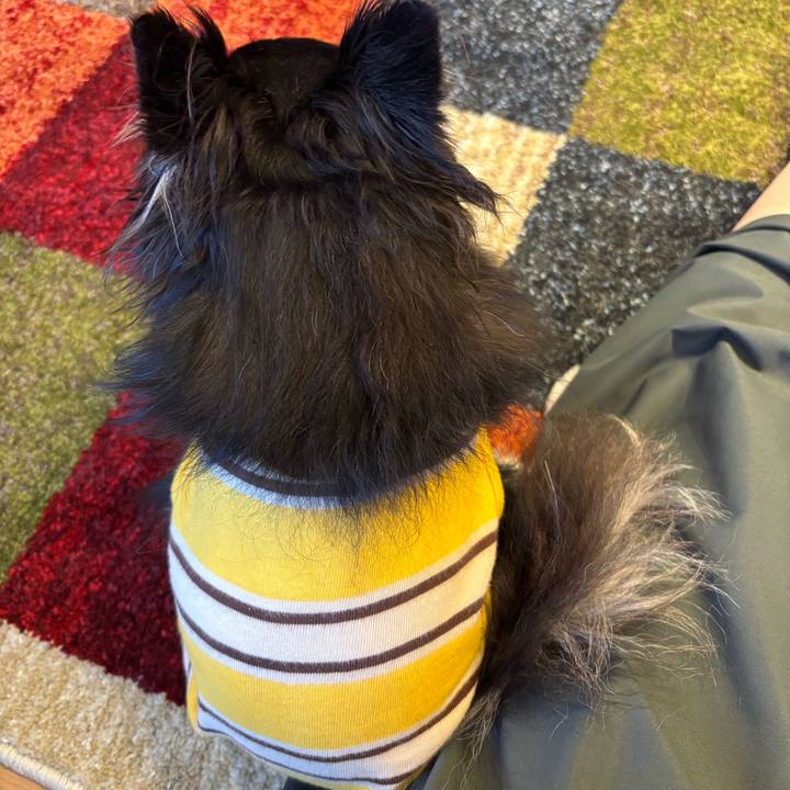 3da8d660 5879 44bd 8cb0 fede4cc46969 1746377030261