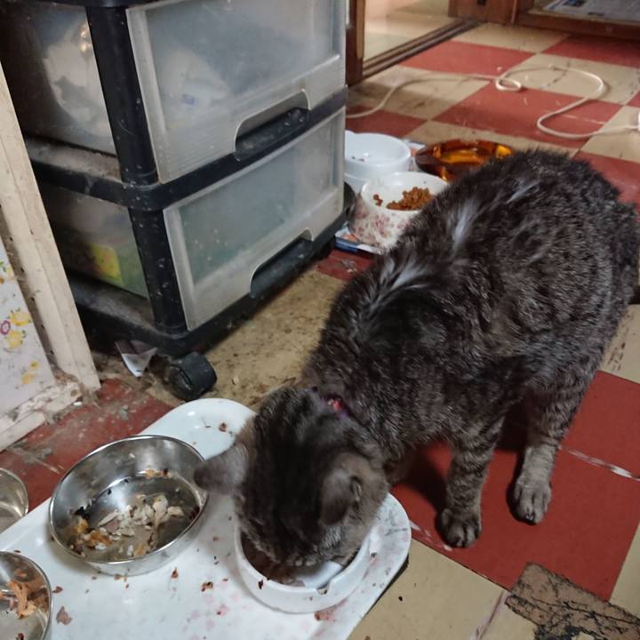 3da9082a 5b91 4735 b2aa 8ae6d8cd6ee3 1594436405542