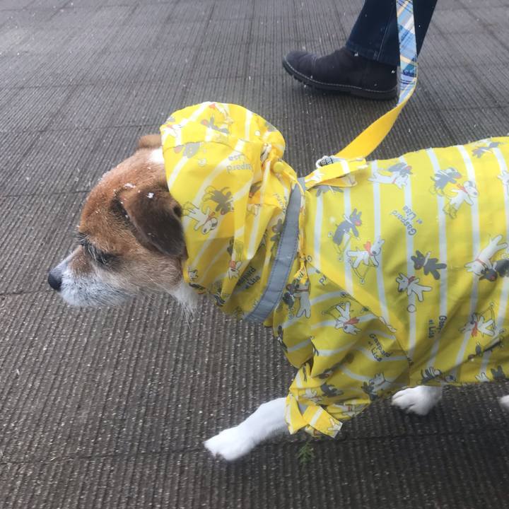 3da95ff6 35eb 44ff a0e4 1b628c913e3b 1549848540992