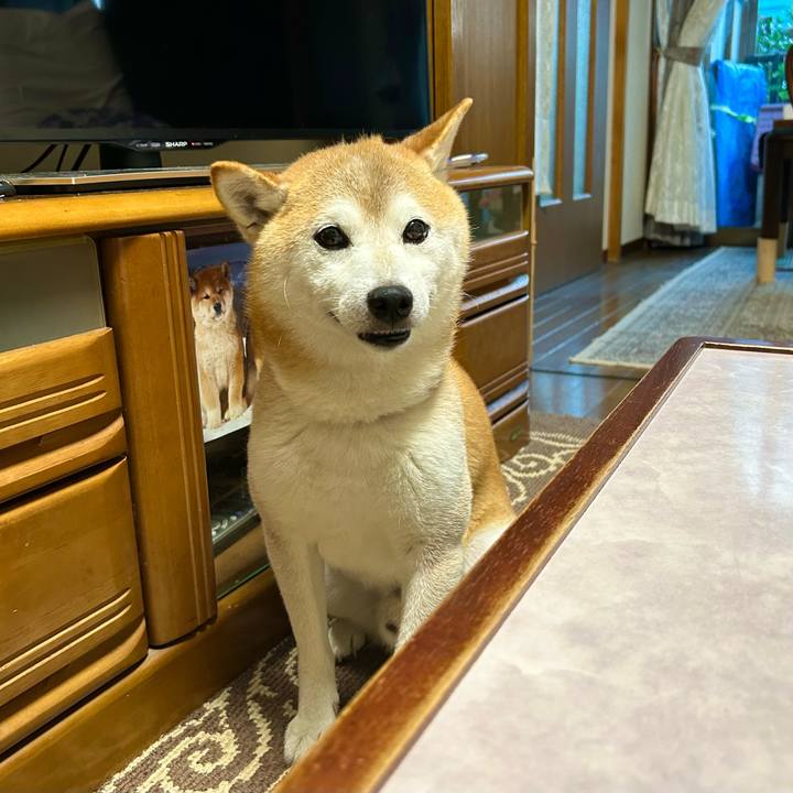 3da9838f 72df 42b4 ba5e 13b3886988cd 1722855547618