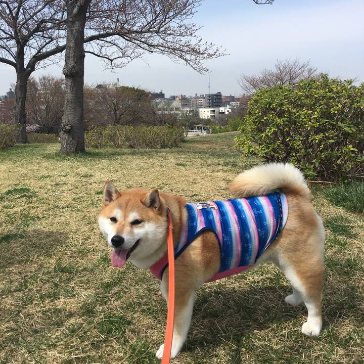 3da9892b ed32 4914 80fb a68dbb7da42c 1553488914913