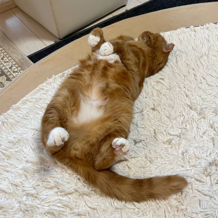 3da9b97d f867 4619 9edf 9d78f539258a 1766296127399