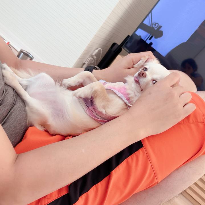 3da9ebe7 2fc5 4024 83e7 ebd03ca16898 1718628087437