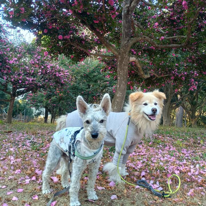 3da9f25b f1ee 4cf6 95da d9c0fc826d06 1765463936342