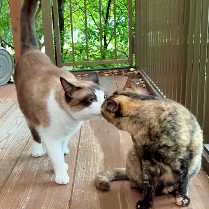 3da9feac 20cb 4f25 84bb 79d1cd3c4dd8 1754532444944