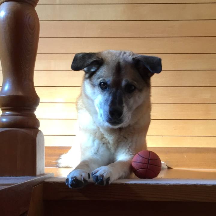 3daa0f8c 0f41 4ceb b0be 64e3956af0fa 1572588977844