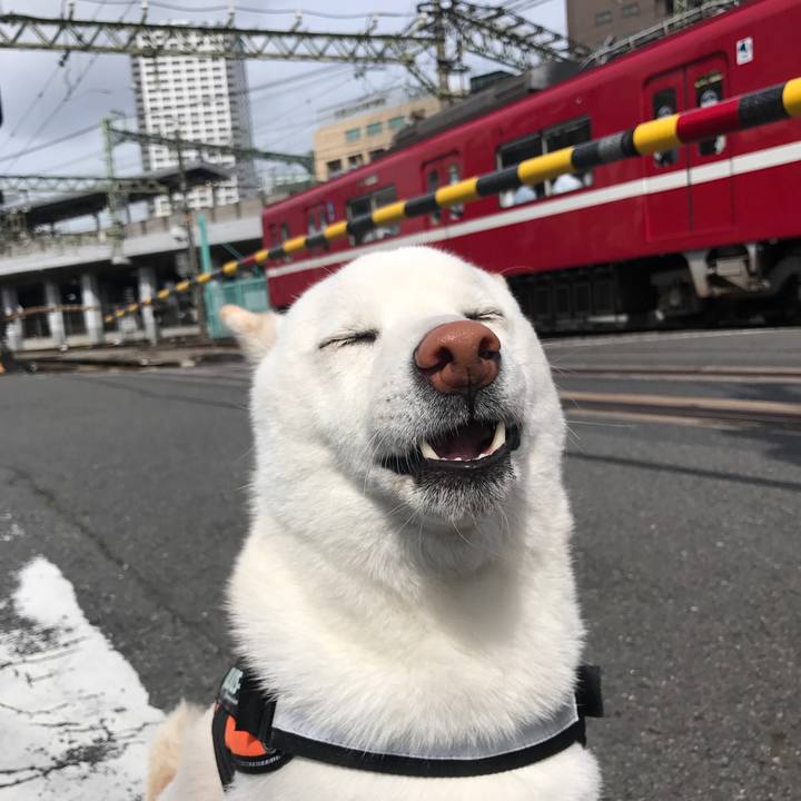 3daa1e0b efe5 4e6e 90c5 a0ed3d40f16b 1527032913785