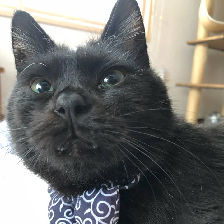 3daa231d a35a 470a 9781 68fc9c2d4c05 1577833496015