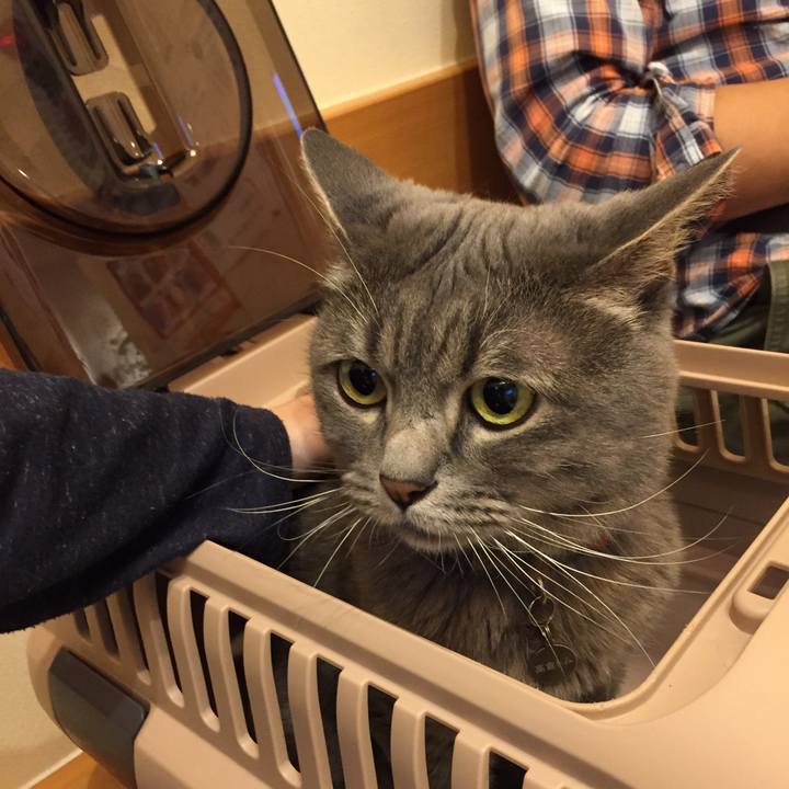 3daa38ea 85be 4e8c ab3b 5658c5a2c7aa 1534980903440