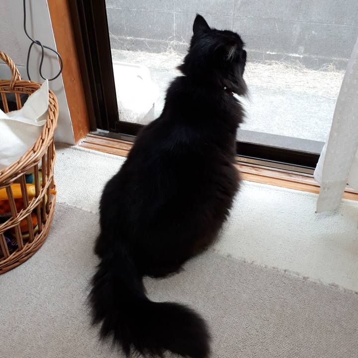 3daa3e59 3395 4bd4 b445 e5080ef93530 1522707541787