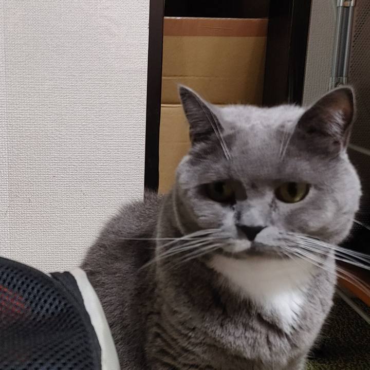 3daa88d7 390c 46ce 81b6 a3e52c093192 1632835565835