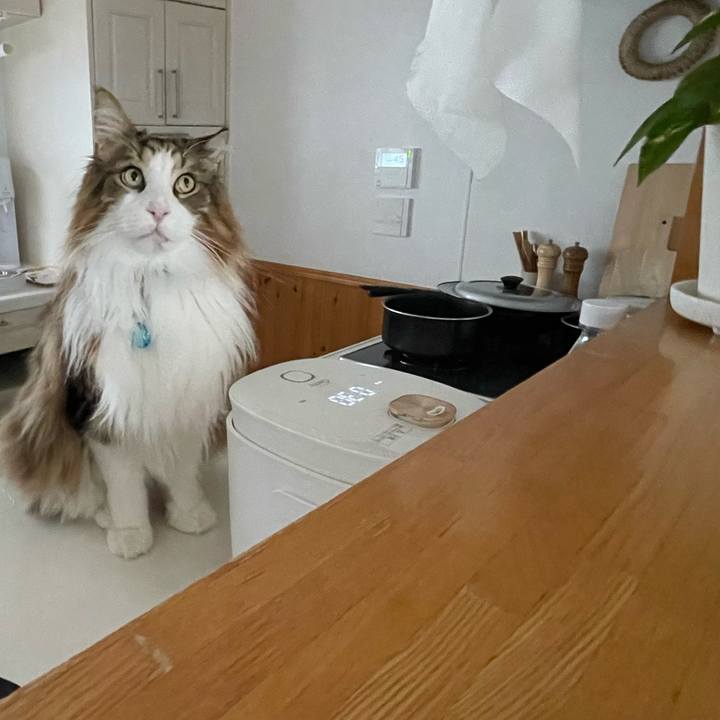 3daa8d3c f45c 44b1 87f5 5bcf93fe6060 1714338151643