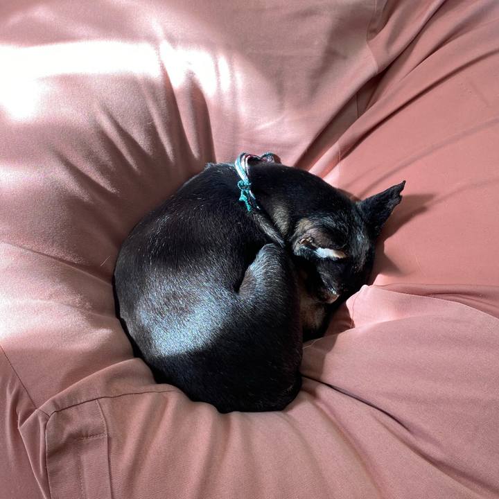 3daa9261 7d76 4135 a852 595bfb9e1a54 1579406354116