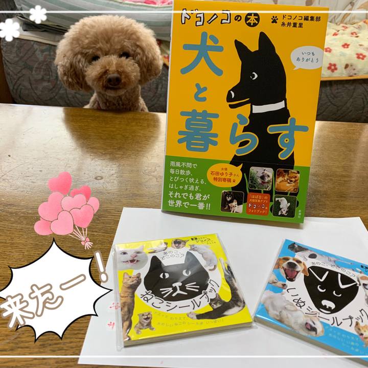 3daaa70b 2e92 4591 a324 6e89bf3d8842 1557214103617