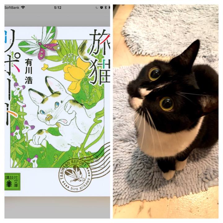 3daaaa42 8ccf 44ea bba0 e2b3deeeef49 1516399925239