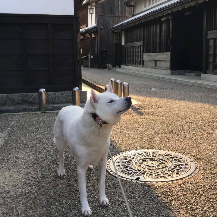 3daacfc7 eb8a 43a6 8a4c e0e0cbcd2b94 1525011558497