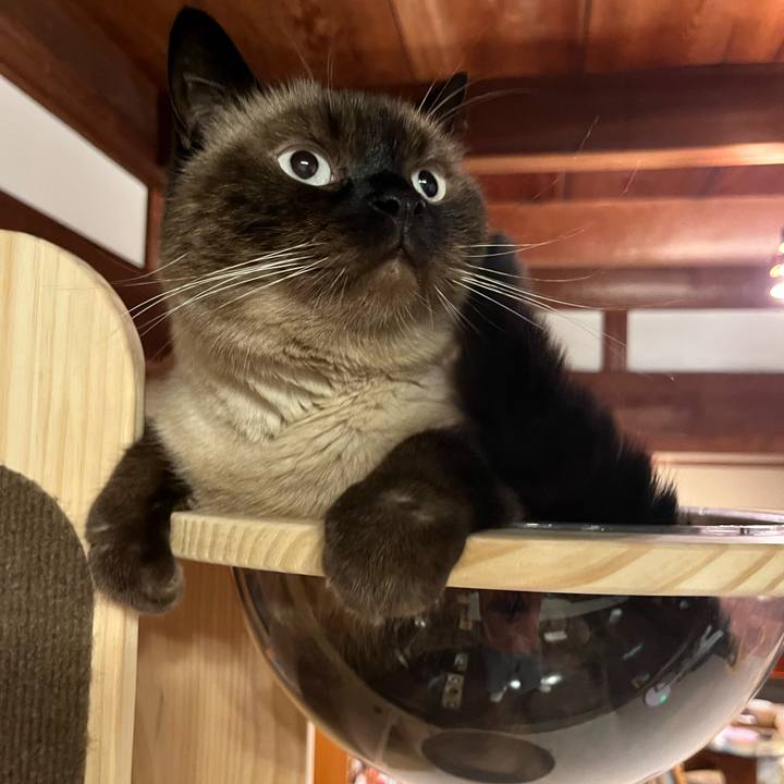 3daad55b 3f42 4a4d acb0 57b82343d201 1725789658794