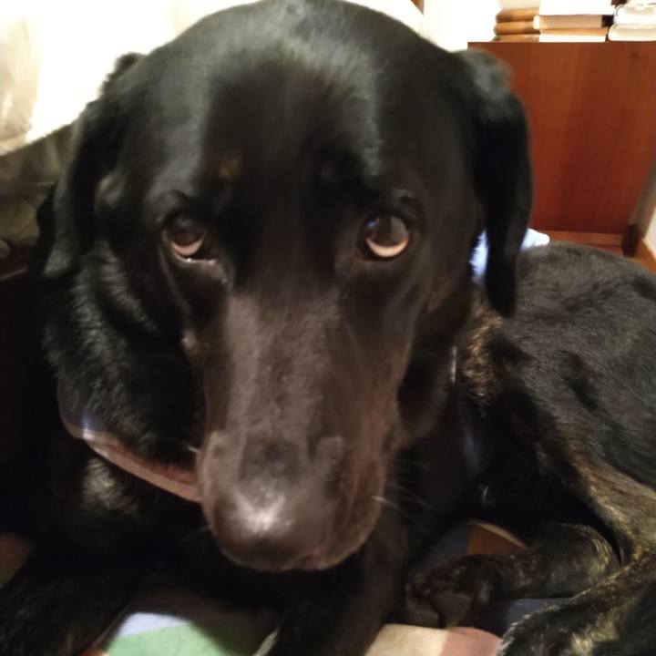 3daaf9a0 0f36 4a22 9e48 2ffb9ec6ebaa 1606742649023