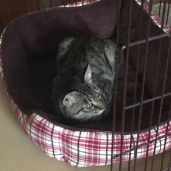 3dab48fb 5aeb 4a56 8ffc 6f35451df475 1541731956193