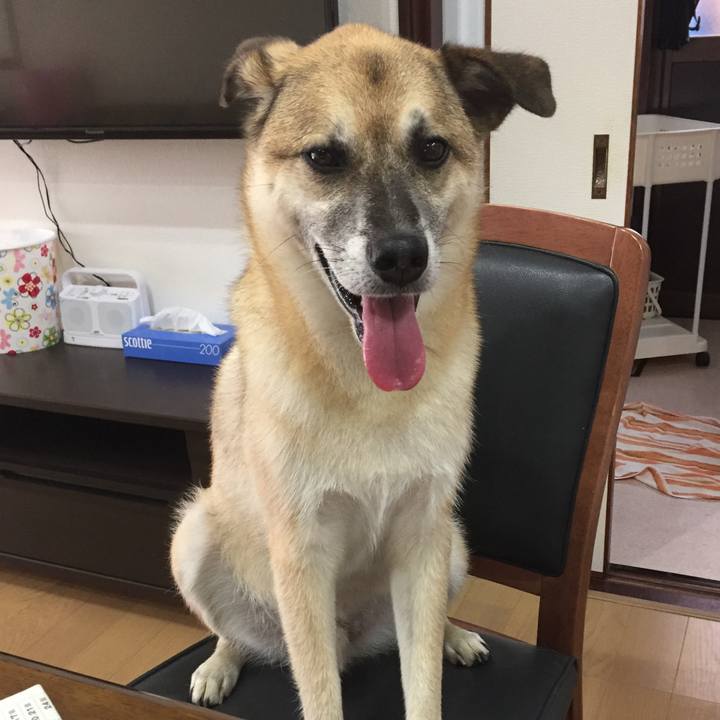 3dab57cd 4d1d 47c1 9ad2 2eb5d5fc5bb0 1531826983280