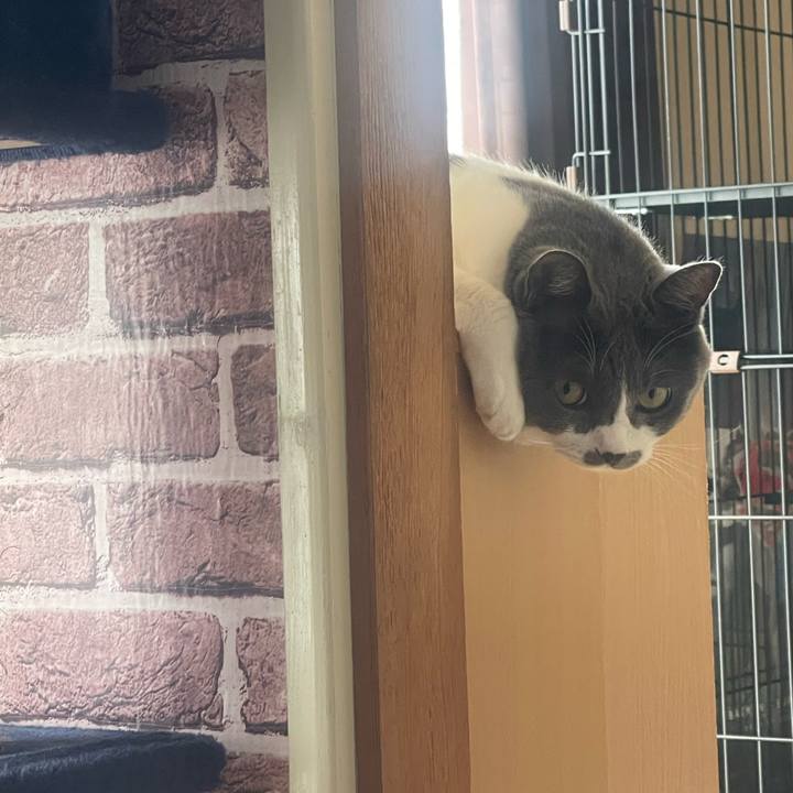 3dab7ec7 e963 4741 971c 5dfce7ab577f 1726358136376