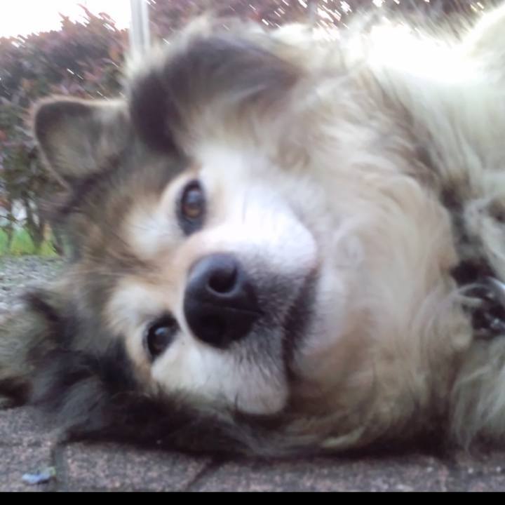 3dab8011 8ed0 4daf 956f c92bcbc0cd1b 1599452231254