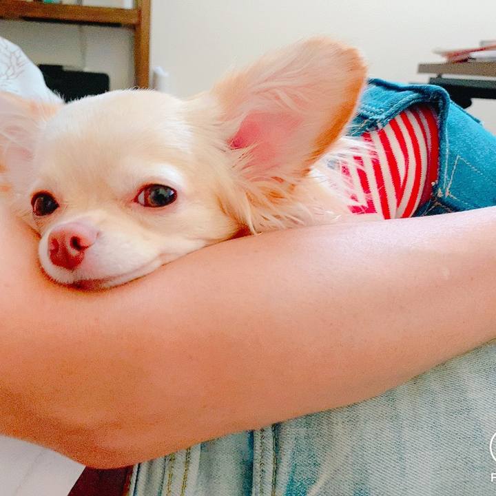 3dabc7a2 a8cd 4bf8 bfc4 2e8d69587cee 1626950928608