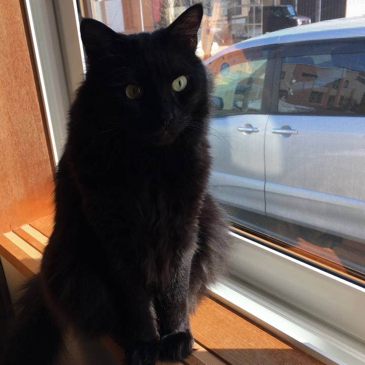 3dabd794 bb55 4ee6 b89b 993a3e598345 1521873385309