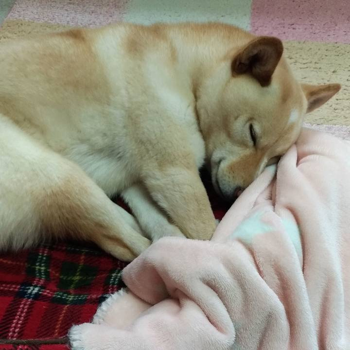 3dabe5cc 8b26 46d6 999d 45f8af97c4a2 1553823283534