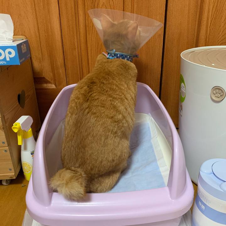 3dac46ec 7285 4572 b488 c1161a3499fd 1568376129084