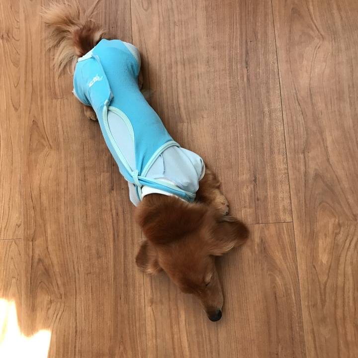 3dac5638 7d72 43c5 8b5e 8bd9253ea90e 1540875577626