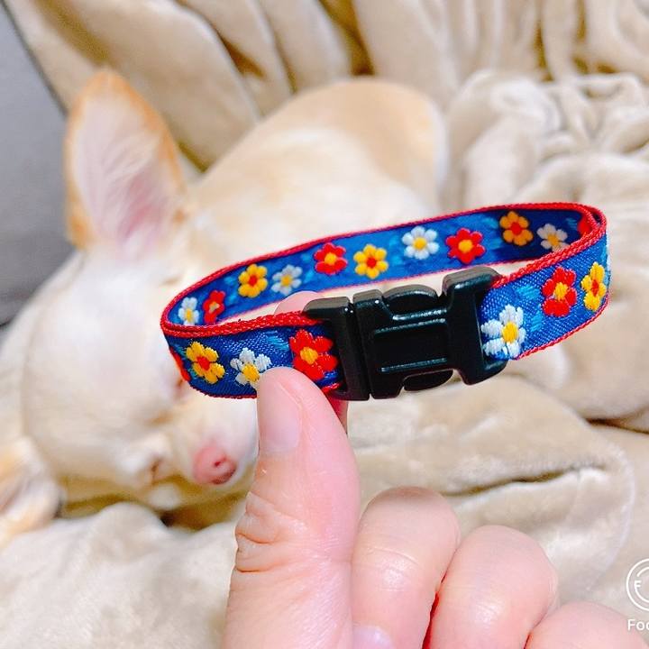 3dac5806 2b52 48d1 b844 a8923665a86f 1630246599726