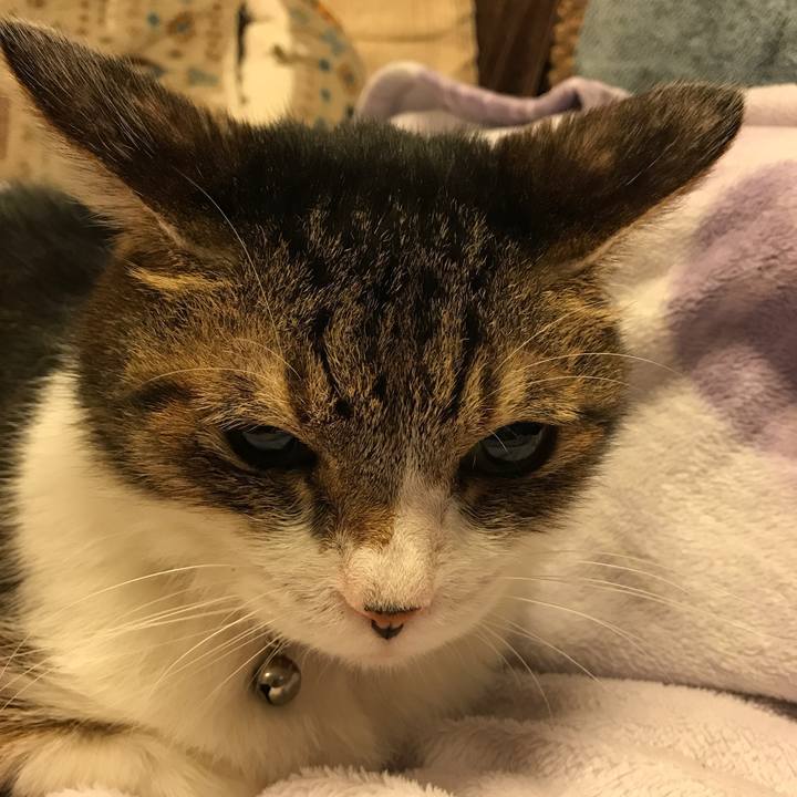 3dac950c ff1b 43bc 85e4 c2b3add8b10a 1568979271475