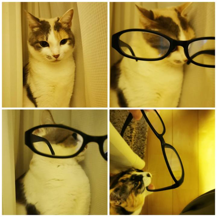 3dac9d4c 05da 483a b6c9 1b03b7b7858a 1678422340775