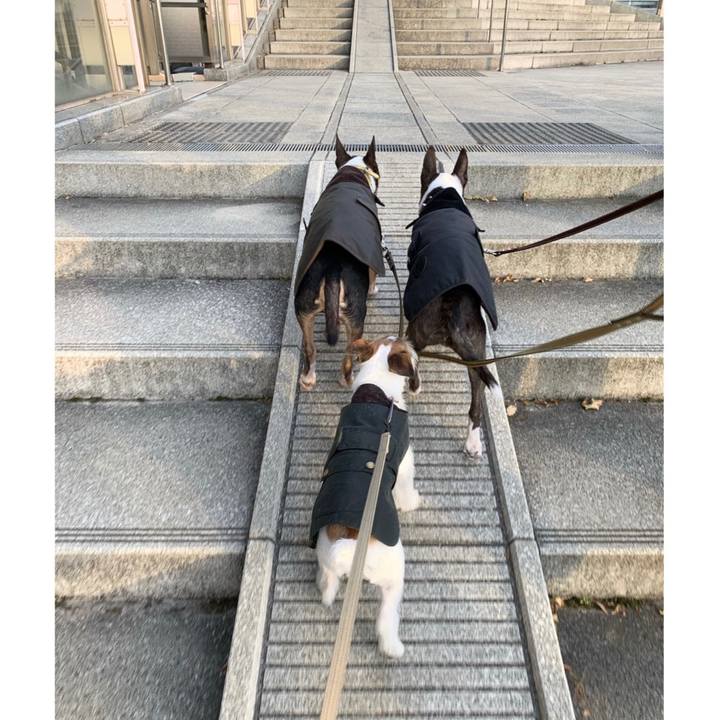 3dacbd27 0462 4a79 b1ad e37b57e8bb6a 1576396204334