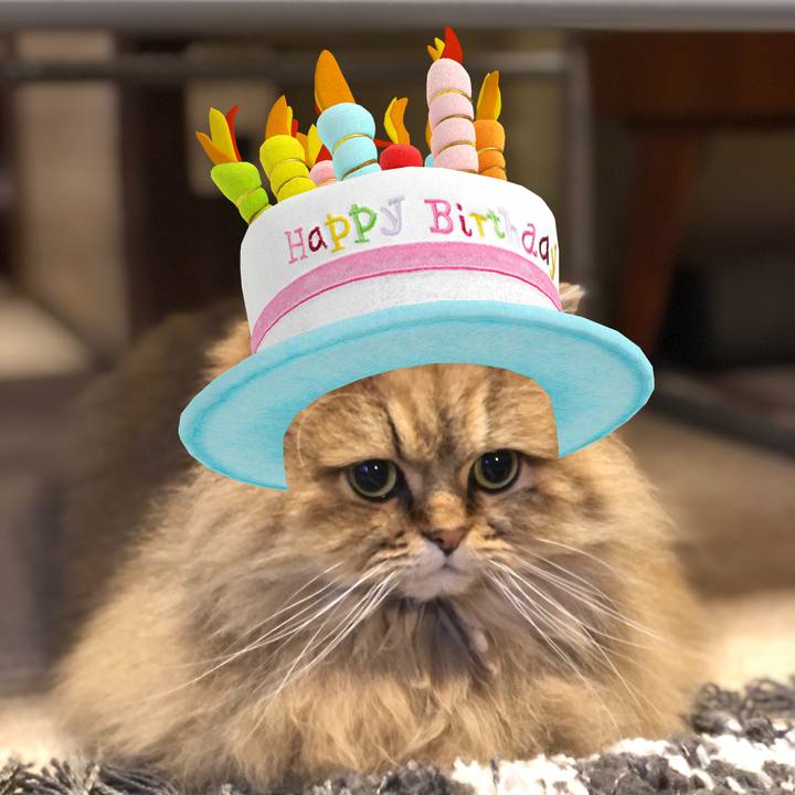 3dacd0bf 402a 4104 ac4e a1c96fc0a08a 1614259172872